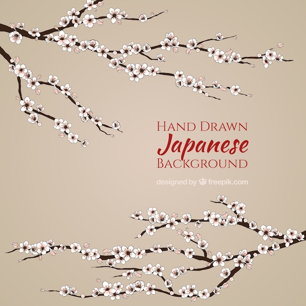 Simple japanese background with hand drawn cherry blossom