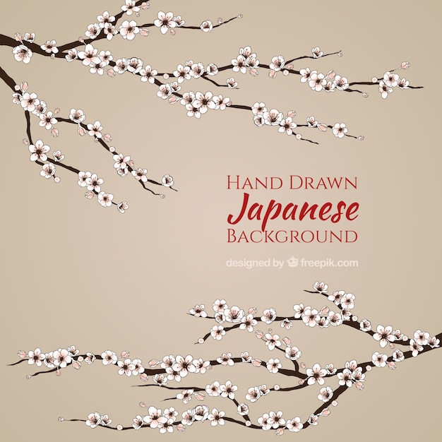 Simple japanese background with hand drawn cherry blossom 