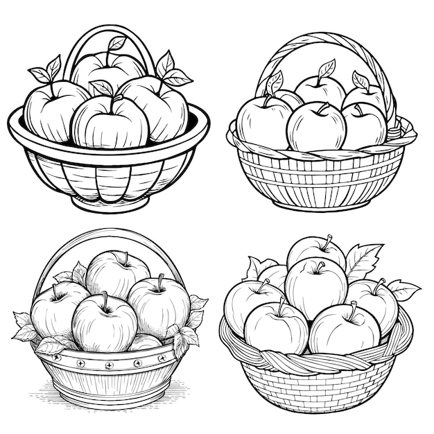 Free vector simple line black stroke basket apples