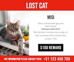 Бесплатное векторное изображение Простой пост в фейсбуке о потерянном коте