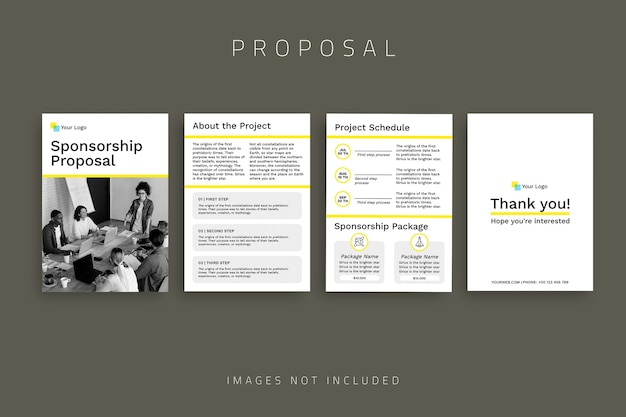 Simple monocolor sponsorship proposal