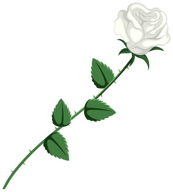 Free vector simple style cartoon illustration of a white rose