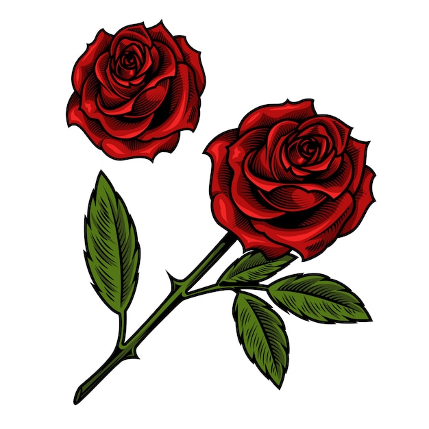 Free vector single beautiful red rose