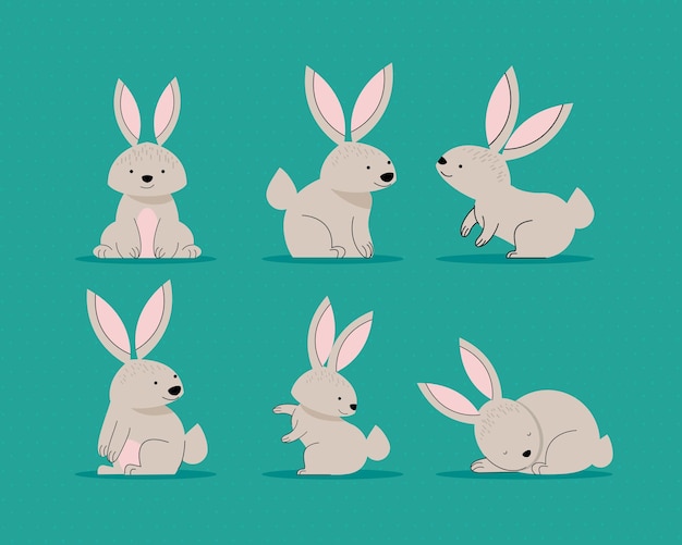 여섯 마리의 귀여운 베이지색 토끼