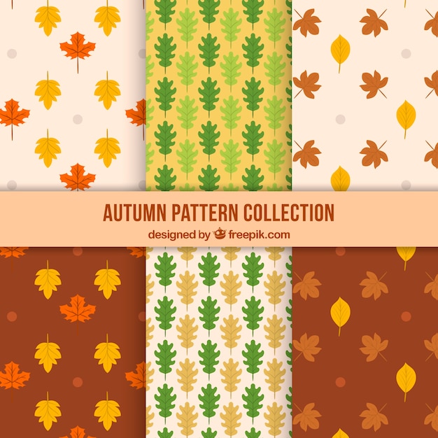 Free vector six cute patterns for autumn
