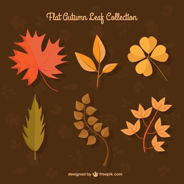 Бесплатное векторное изображение Шесть различных осенних листьев