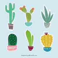 Free vector six different cactus