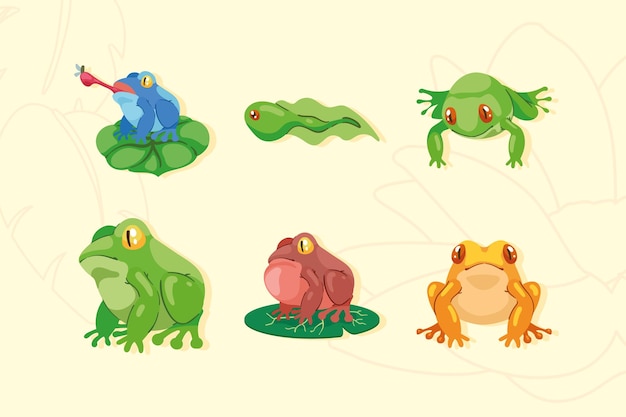 Six frogs amphibians