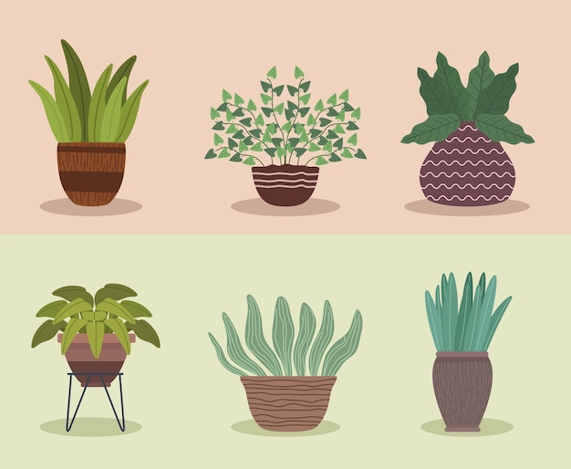 Six houseplants gardening icons