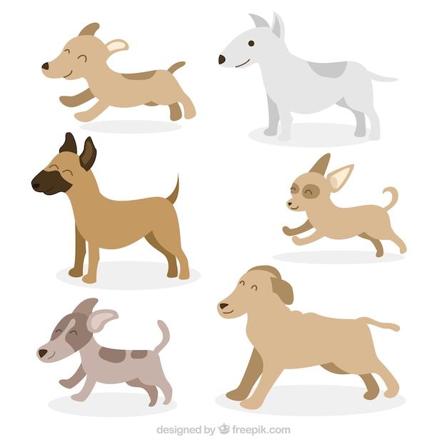Шесть профилей собак в плоском дизайне