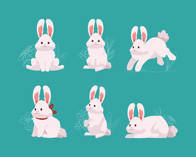 Six spring rabbits