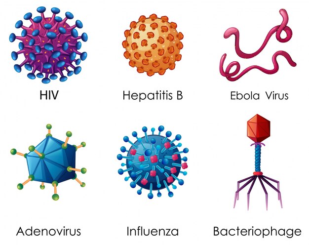 Six types of viruses on white background