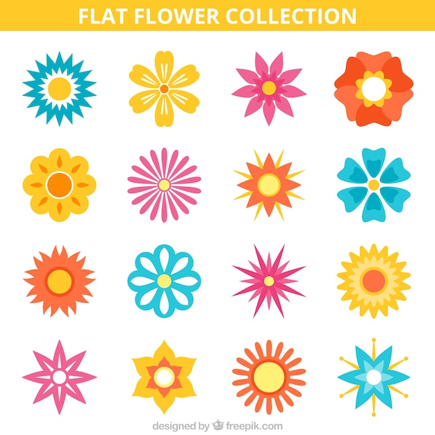 Sixteen flat flowers