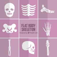 Free vector skeleton parts in flat design