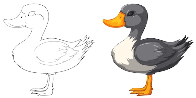 Free vector sketch and colorful duck illustration