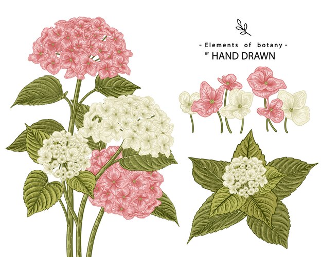ヴィンテージの水彩花のイラストがレトロなスタイルの花の魅力的な花束 無料のベクター