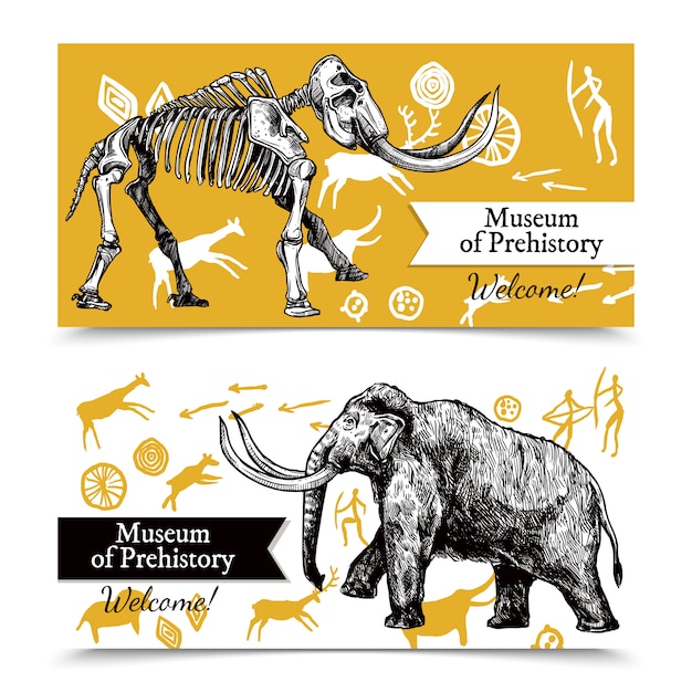 Free vector sketch hand drawn mammoth banners