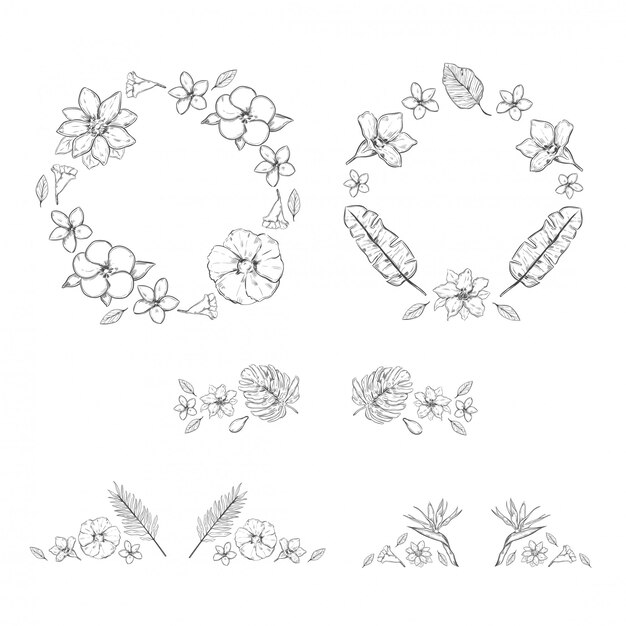 Sketch Monochrome Floral Exotic Plants Collection