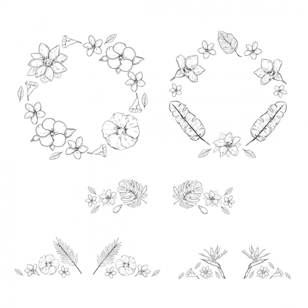 Sketch Monochrome Floral Exotic Plants Collection