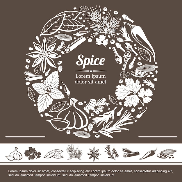 Sketch spices round monochrome concept