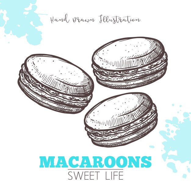 Premium Vector Sketch Of Sweet Macaroons Isolated On White And Blue
