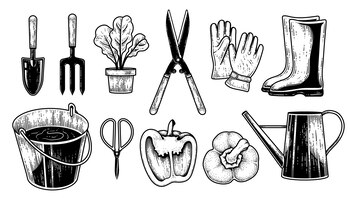 Vettore gratuito insieme di vettore di schizzo di attrezzi da giardinaggio illustrazione di elementi disegnati a mano