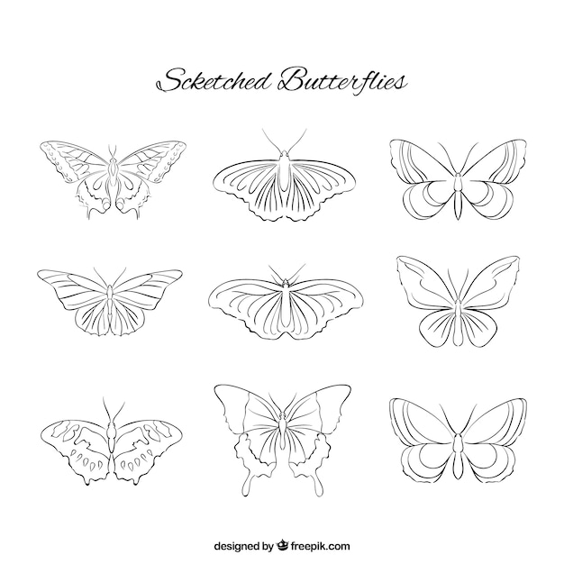 эскизы коллекции бабочек