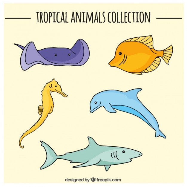 Free vector sketches colored fishes set