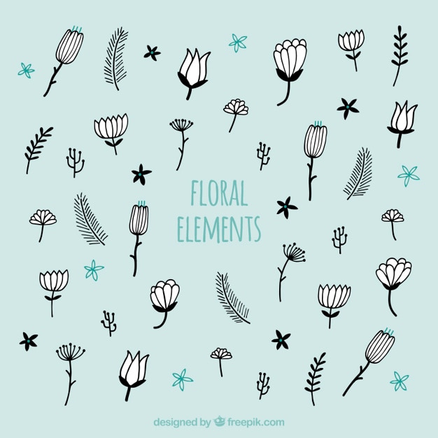 Free Vector sketches floral elements collection