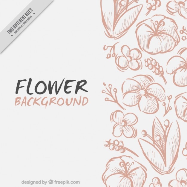 Vettore gratuito fiori sketches sfondo