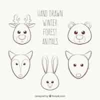 Free vector sketches of lovely animals