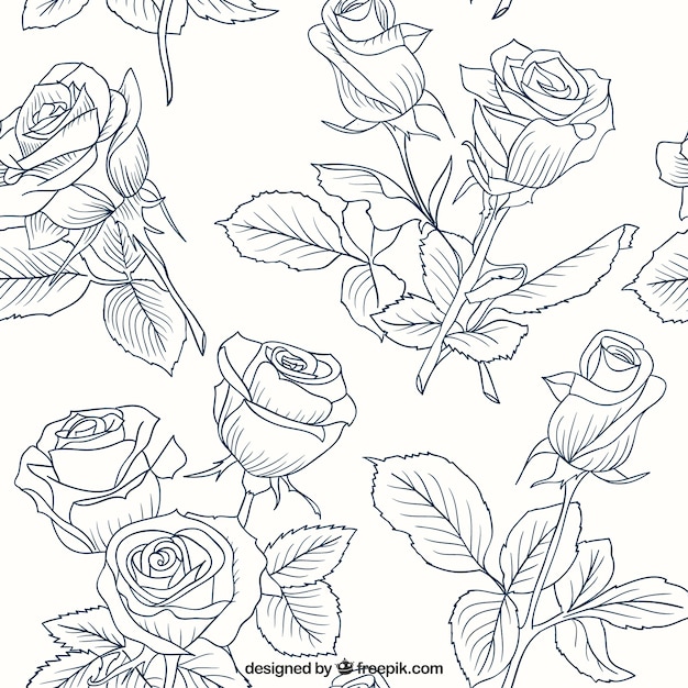 Зарисовки розы шаблон