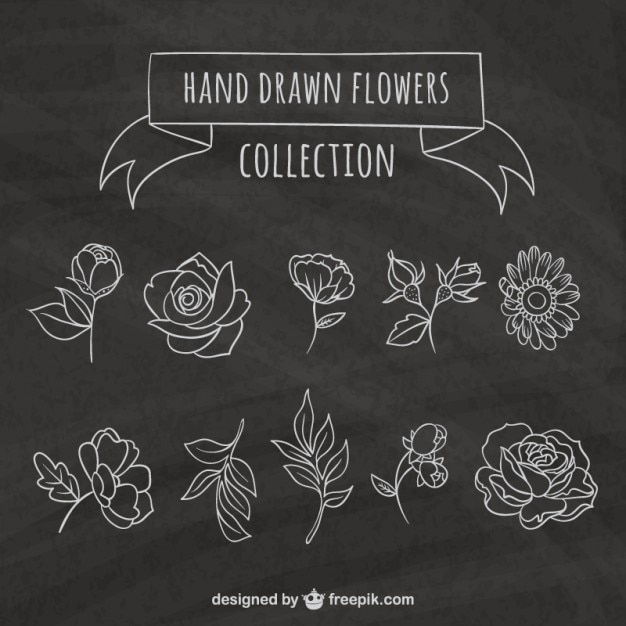 Free vector sketches variety of flowers in blackboard style