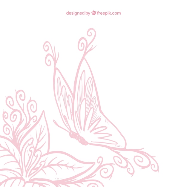 Free vector sketchy butterfly