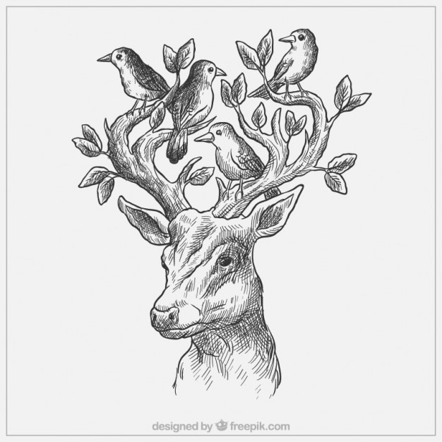 Free vector sketchy deer with birds and leaves