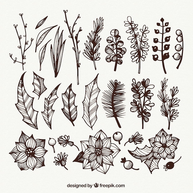 Free vector sketchy flowers and leaves collection