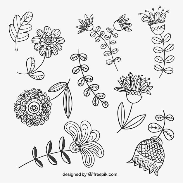 Free vector sketchy spring flowers