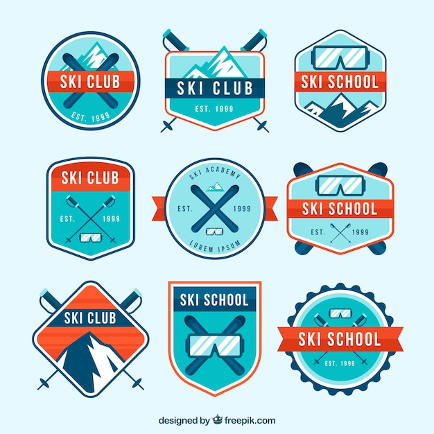 Ski badge collection