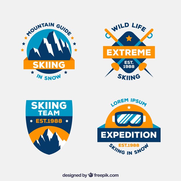 Ski badge collection