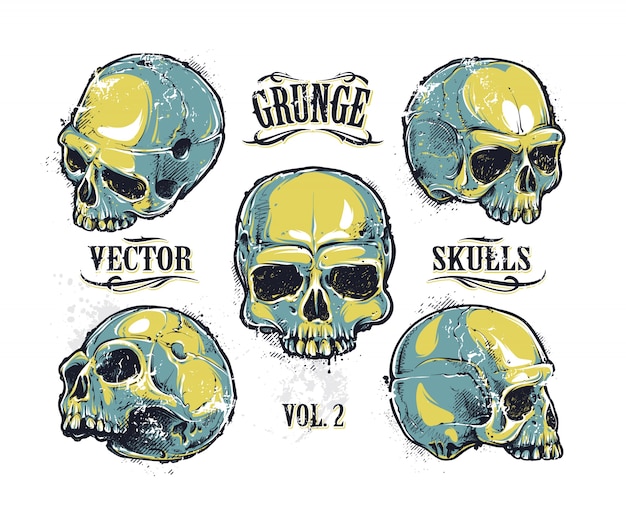 Free Vector skull design collection