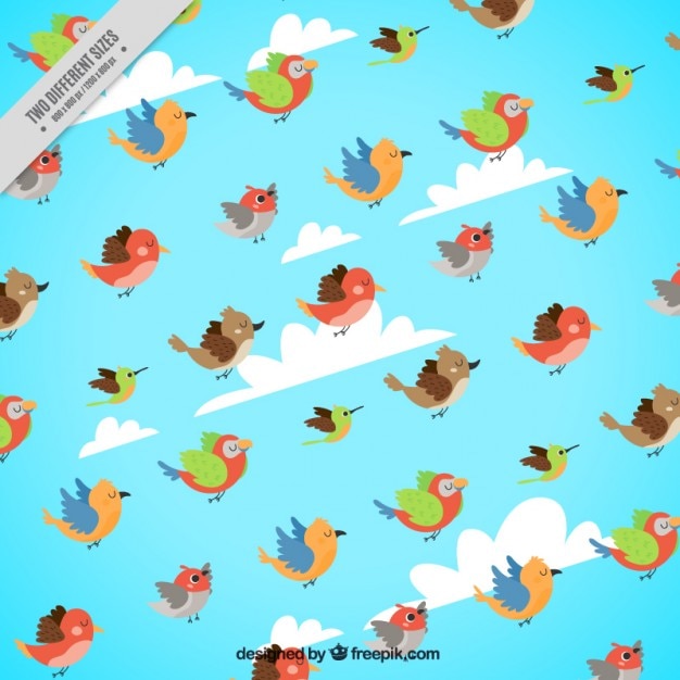 無料Vector カラフルな鳥と空の背景