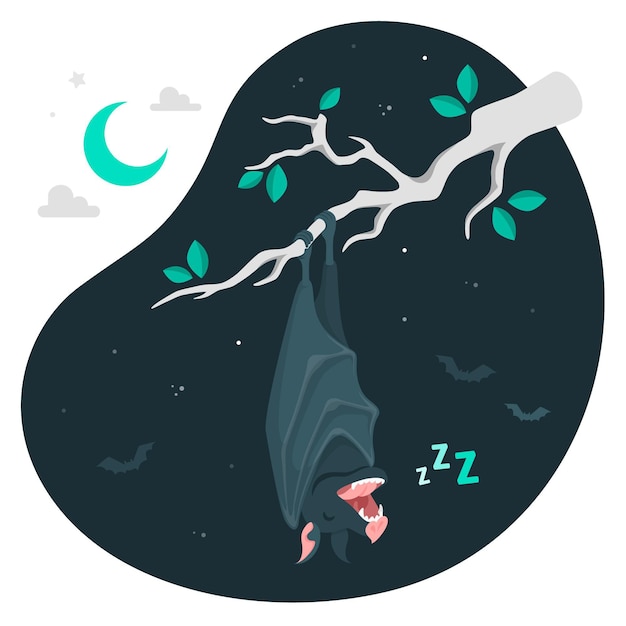 Sleeping bat concept illustration