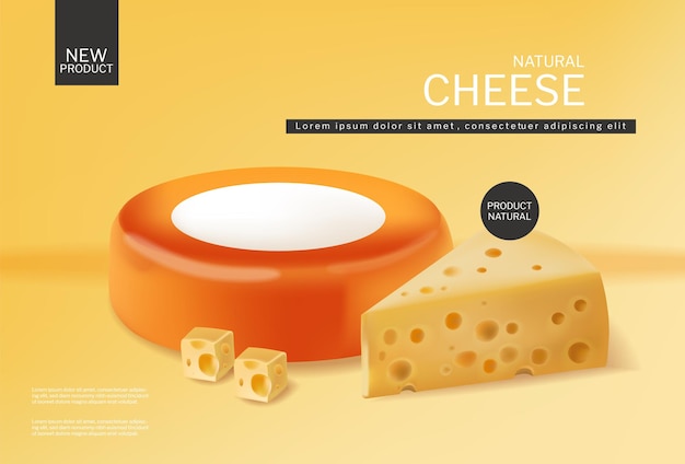 무료 벡터 체다 조각과 둥근 치즈 휠 벡터 현실적인 제품 배치는 신선한 치즈를 조롱합니다.