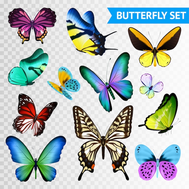 Free vector small and big multicolored butterflies set isolated on transparent background