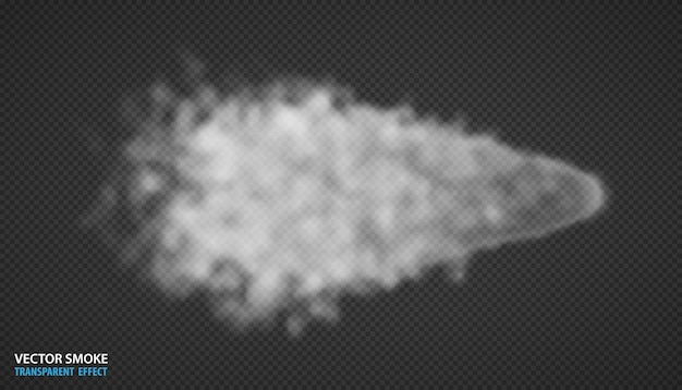 Free vector smoke isolated on transparent background white fog cloudiness mist or smog effect