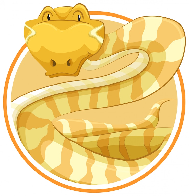 Free Vector snake on circle template