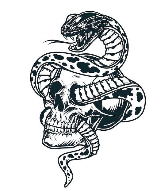 Free vector snake entwined with skull template