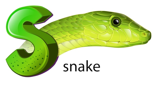 A snake and a letter s