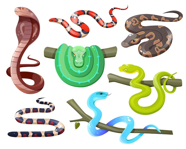 Змеи дикие тропические змеи, изолированные на белом фоне