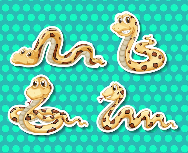 Free Vector snakes